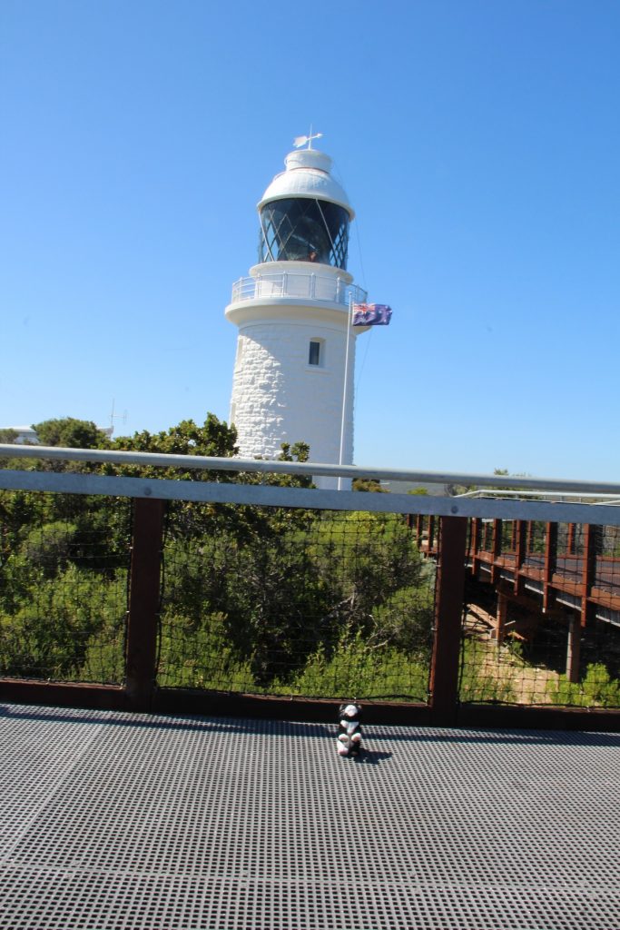 This image has an empty alt attribute; its file name is 2adsawalk-2019-matthewflinders-cat-trim-capenaturaliste-lighthouse-mesothelioma-asbestos-683x1024.jpg